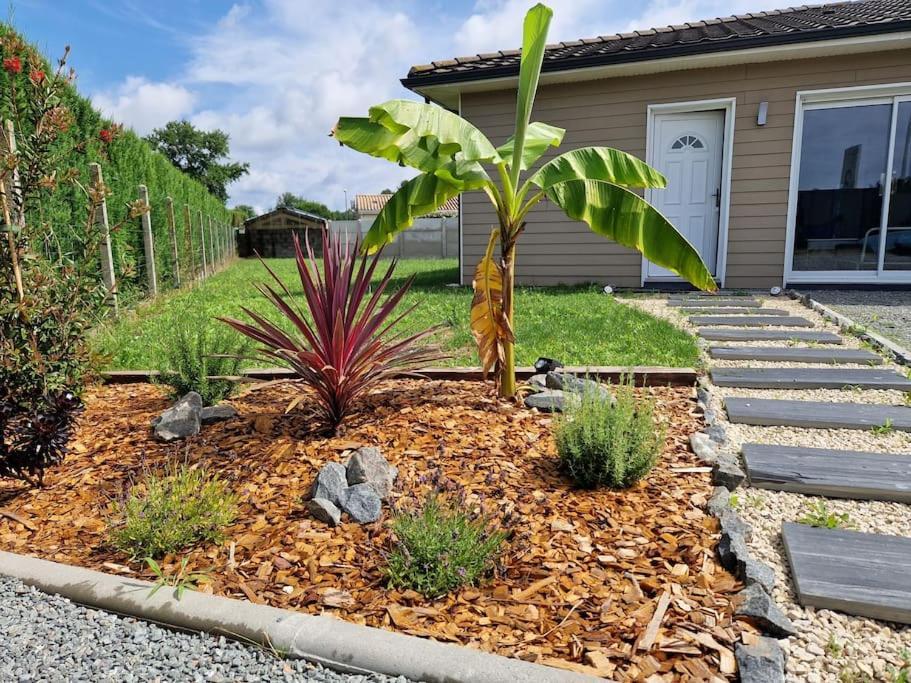 La Villa Des Pins Maison Standing 7 Pers Terre Et Mer Brach Exterior foto